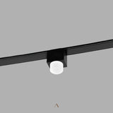 Ifs Track Light