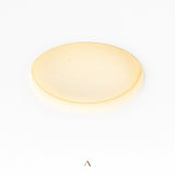 Ivalo Downlight