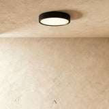 Jasper Downlight
