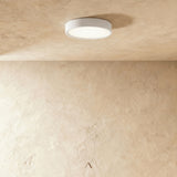 Jasper Downlight