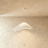 Jib Pendant Light