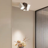 Virga Ceiling Light