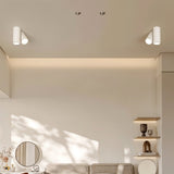 Virga Ceiling Light