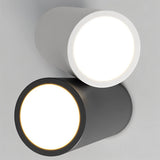 Virga Ceiling Light