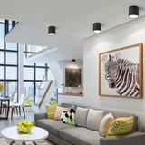 Mica Downlight