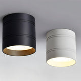 Mica Downlight