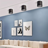Mica Downlight