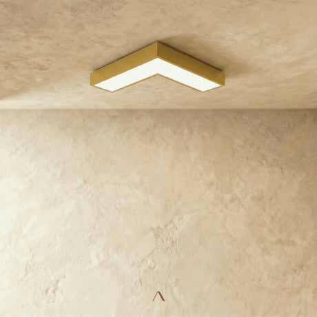 Kosmos Ceiling Light