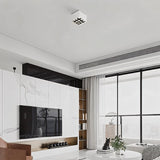 Corymb Downlight