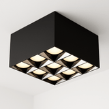 Corymb Downlight