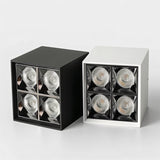 Corymb Downlight