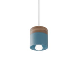 Exposure Pendant Light