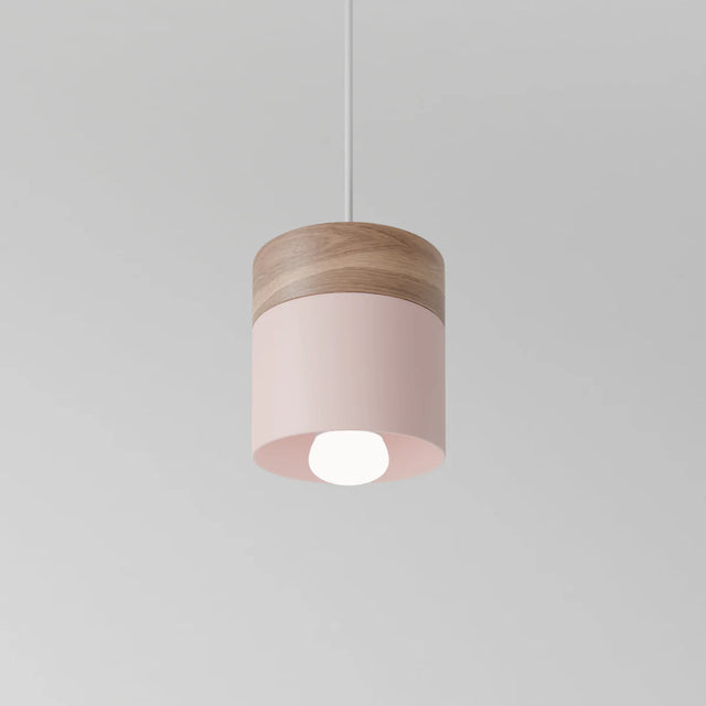 Exposure Pendant Light