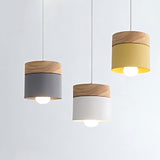 Exposure Pendant Light