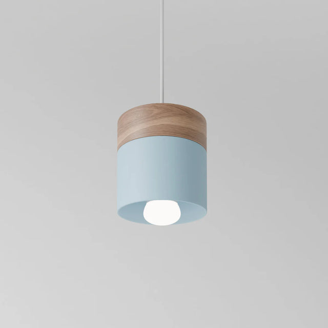 Exposure Pendant Light