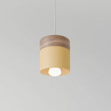 Exposure Pendant Light