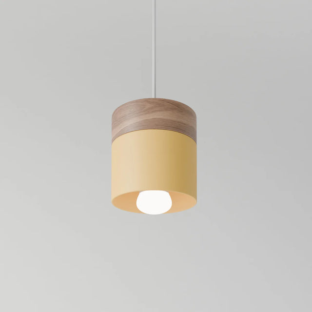 Exposure Pendant Light