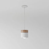 Exposure Pendant Light