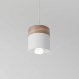 Exposure Pendant Light