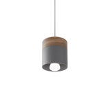 Exposure Pendant Light