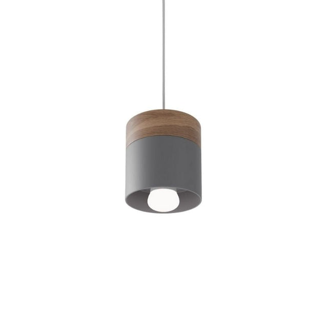 Exposure Pendant Light