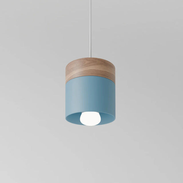 Exposure Pendant Light
