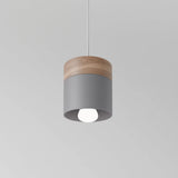 Exposure Pendant Light