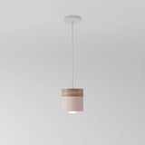 Exposure Pendant Light