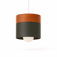 Exposure Pendant Light