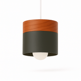 Exposure Pendant Light