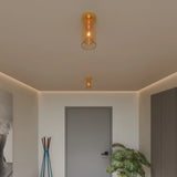 Rhon Ceiling Light