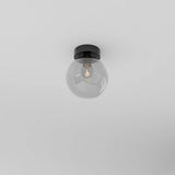 Rhon Ceiling Light