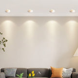 Lemmenjoki Downlight