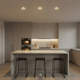 Levi Downlight