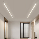 Pier Ceiling Light