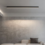Pier Ceiling Light