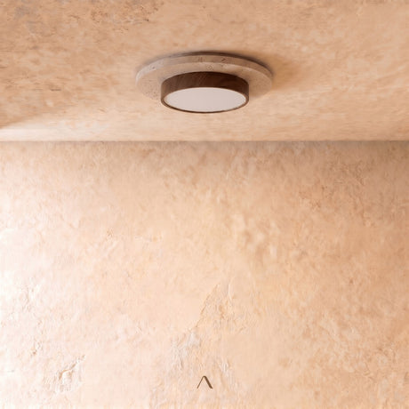 Lijar Ceiling Light