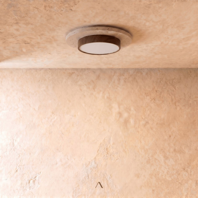 Lijar Ceiling Light
