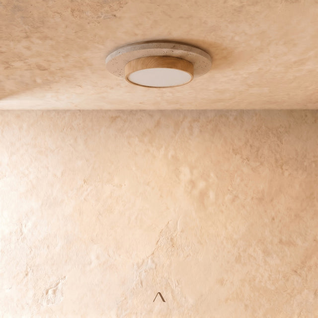 Lijar Ceiling Light
