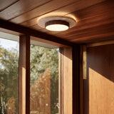 Lijar Ceiling Light