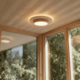 Lijar Ceiling Light