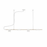 Entasis Pendant Light