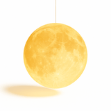 Bearing Pendant Light