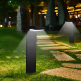 Silica Garden Lamp