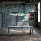 Fenestra Chandelier