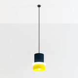 Focus Pendant Light