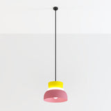 Focus Pendant Light