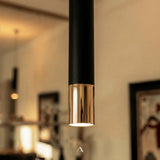 Macro Pendant Light