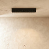 Magma Track Light