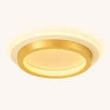 Ozone Ceiling Light
